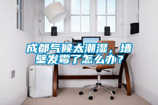 成都氣候太潮濕，墻壁發霉了怎么辦？