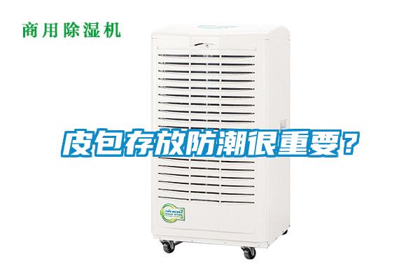 皮包存放防潮很重要？