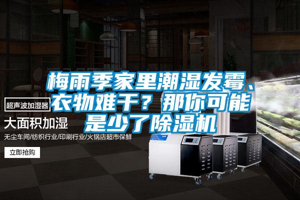 梅雨季家里潮濕發霉、衣物難干？那你可能是少了除濕機