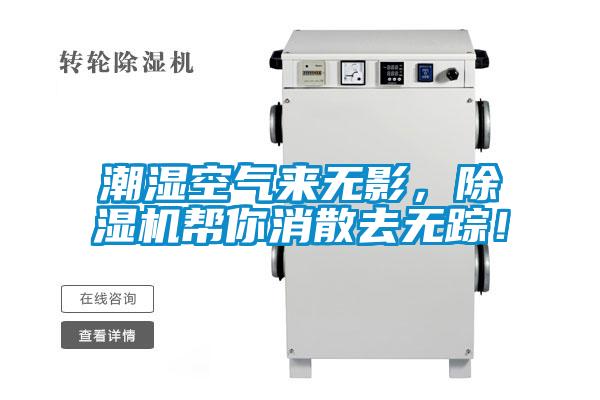 潮濕空氣來無影，除濕機幫你消散去無蹤！