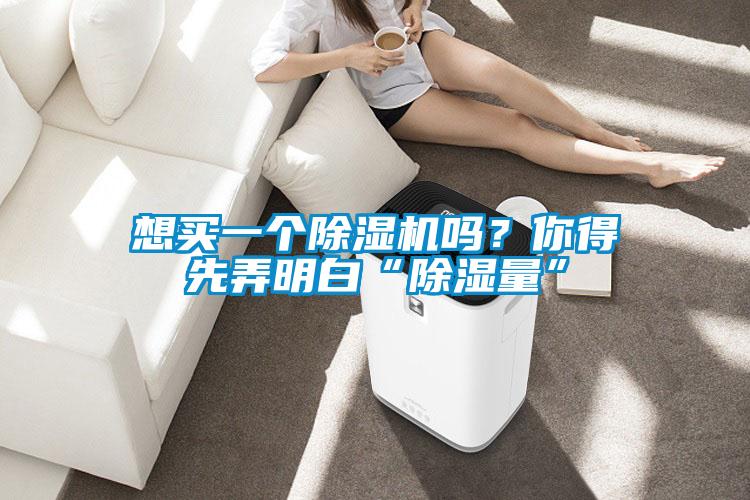 想買一個除濕機嗎？你得先弄明白“除濕量”