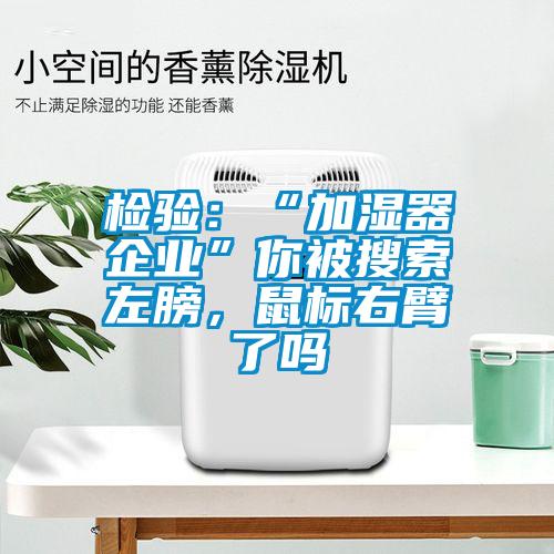 檢驗：“加濕器企業(yè)”你被搜索左膀，鼠標(biāo)右臂了嗎