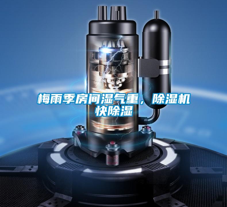 梅雨季房間濕氣重，除濕機快除濕