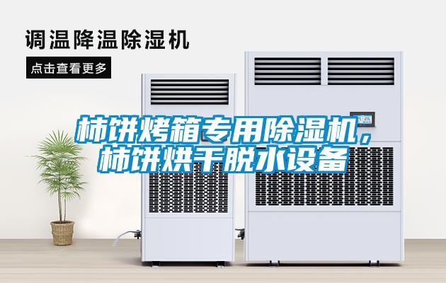 柿餅烤箱專用除濕機(jī),柿餅烘干脫水設(shè)備