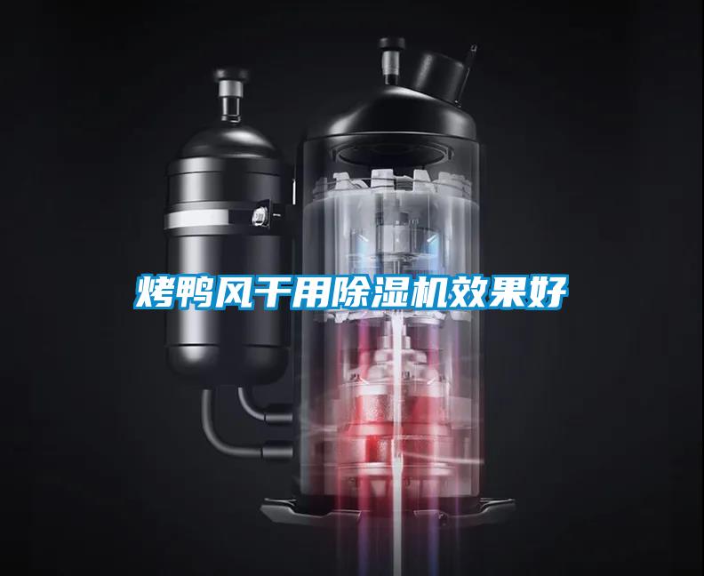 烤鴨風干用除濕機效果好