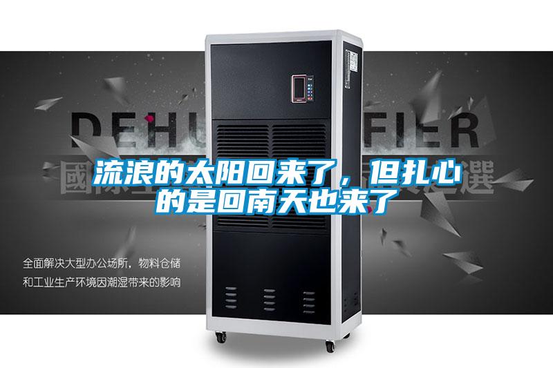 流浪的太陽回來了，但扎心的是回南天也來了