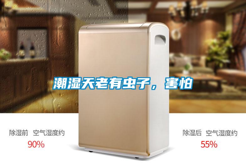 潮濕天老有蟲(chóng)子，害怕