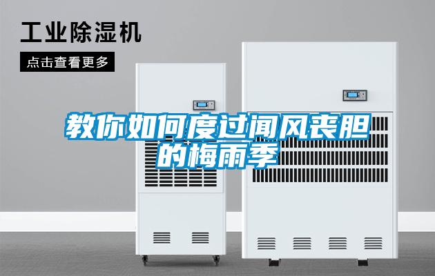 教你如何度過聞風(fēng)喪膽的梅雨季