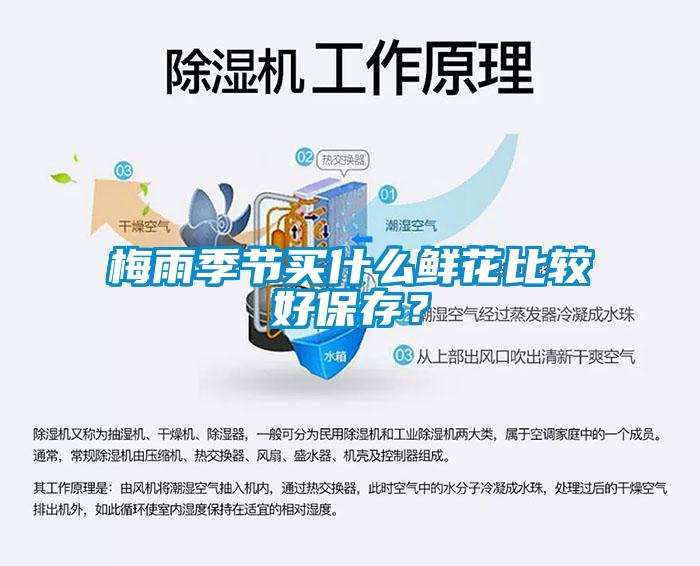 梅雨季節(jié)買什么鮮花比較好保存？