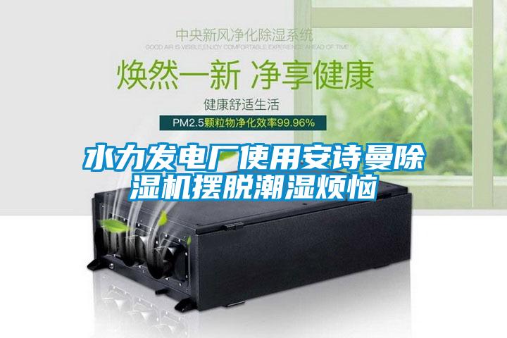 水力發(fā)電廠使用安詩曼除濕機(jī)擺脫潮濕煩惱