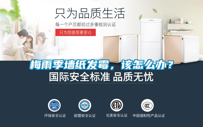 梅雨季墻紙發(fā)霉，該怎么辦？