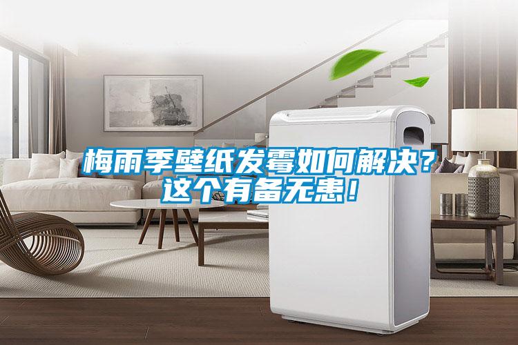 梅雨季壁紙發(fā)霉如何解決？這個(gè)有備無患！
