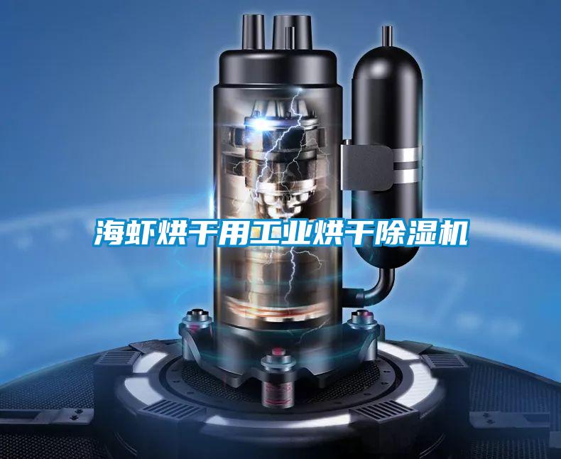 海蝦烘干用工業烘干除濕機