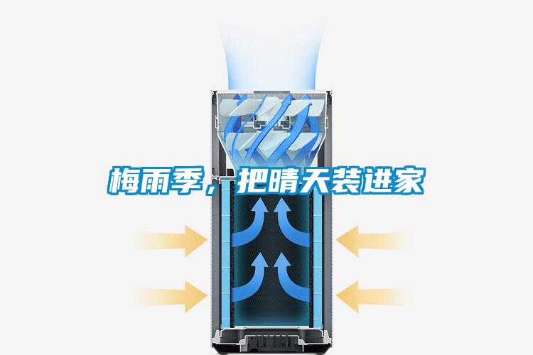 梅雨季，把晴天裝進家