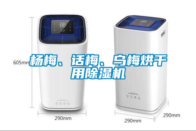 楊梅、話梅、烏梅烘干用除濕機