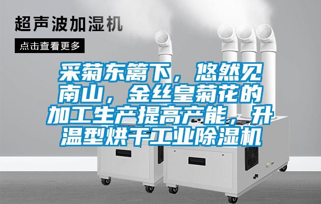 采菊東籬下，悠然見南山，金絲皇菊花的加工生產提高產能，升溫型烘干工業除濕機