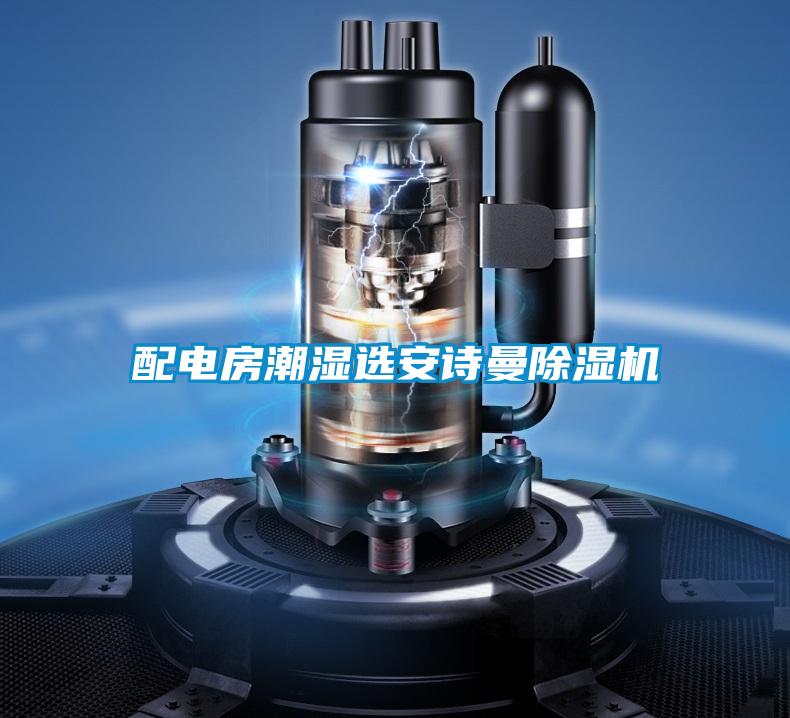 配電房潮濕選安詩(shī)曼除濕機(jī)