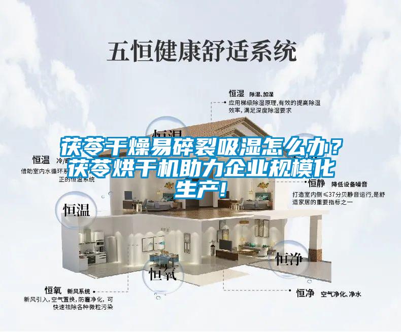茯苓干燥易碎裂吸濕怎么辦？茯苓烘干機助力企業規?；a!
