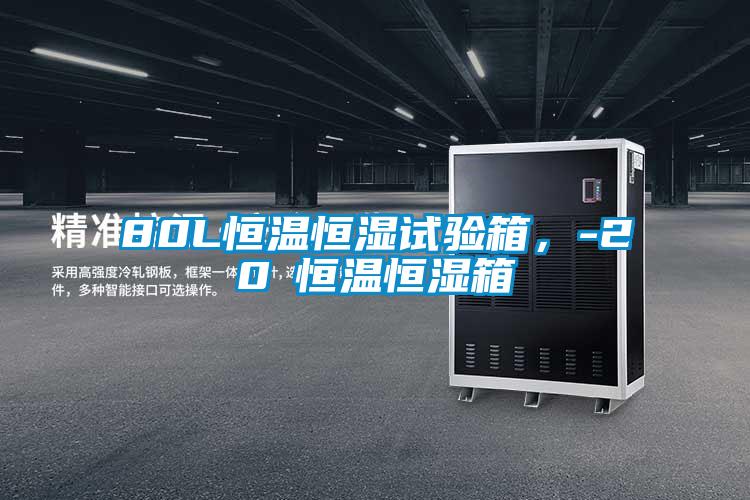 80L恒溫恒濕試驗箱，-20℃恒溫恒濕箱