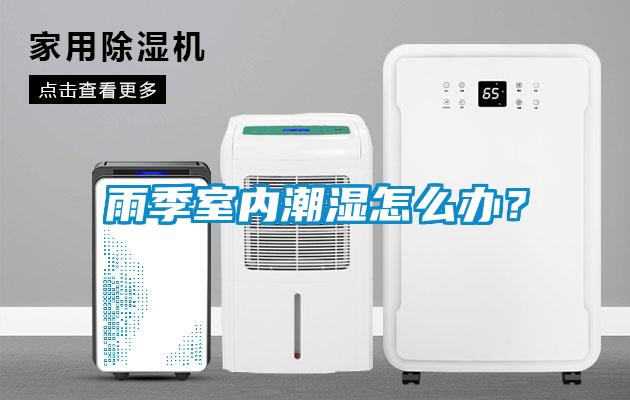 雨季室內潮濕怎么辦？