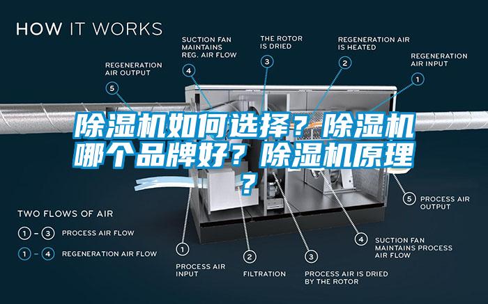 除濕機如何選擇？除濕機哪個品牌好？除濕機原理？