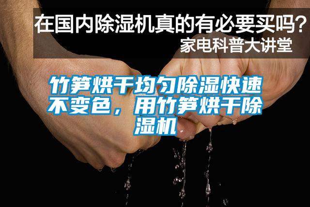 竹筍烘干均勻除濕快速不變色，用竹筍烘干除濕機