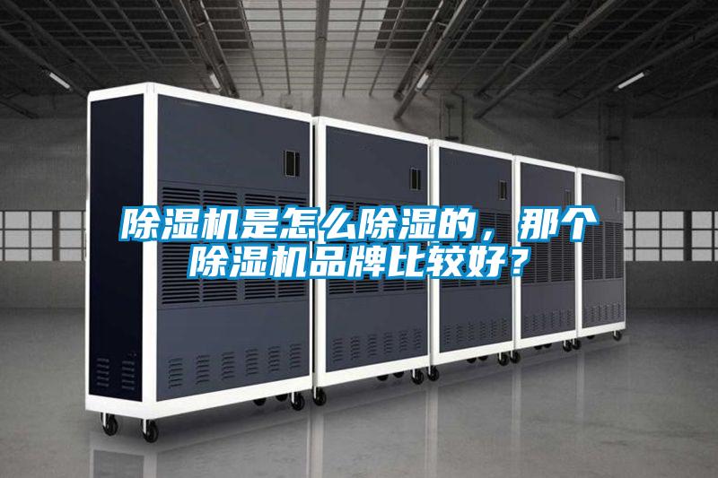 除濕機(jī)是怎么除濕的，那個(gè)除濕機(jī)品牌比較好？