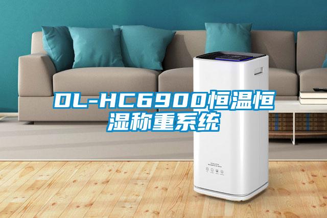 DL-HC6900恒溫恒濕稱重系統