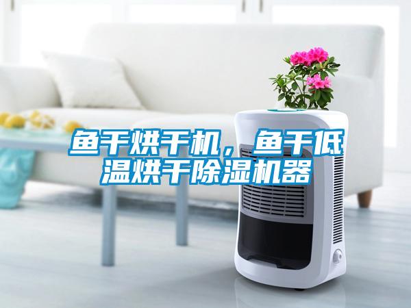 魚干烘干機(jī)，魚干低溫烘干除濕機(jī)器