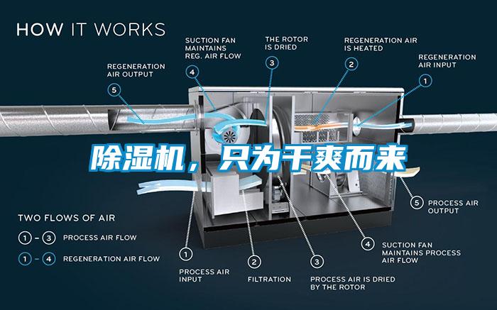 除濕機，只為干爽而來