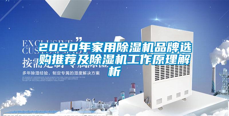 2020年家用除濕機(jī)品牌選購(gòu)?fù)扑]及除濕機(jī)工作原理解析