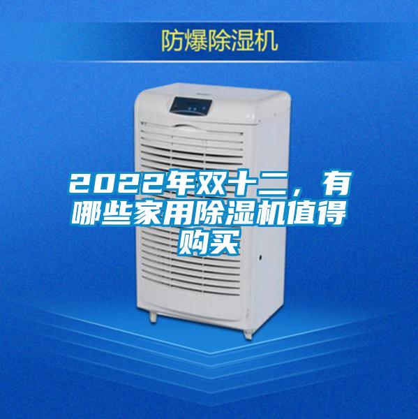 2022年雙十二，有哪些家用除濕機值得購買