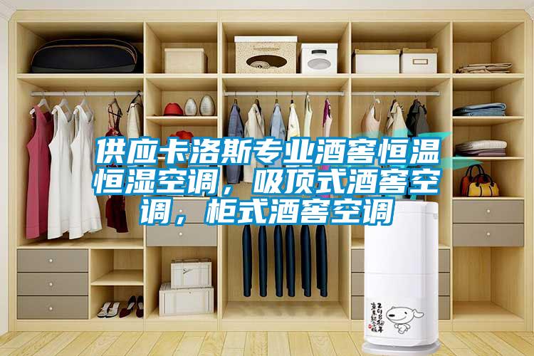 供應卡洛斯專業酒窖恒溫恒濕空調，吸頂式酒窖空調，柜式酒窖空調