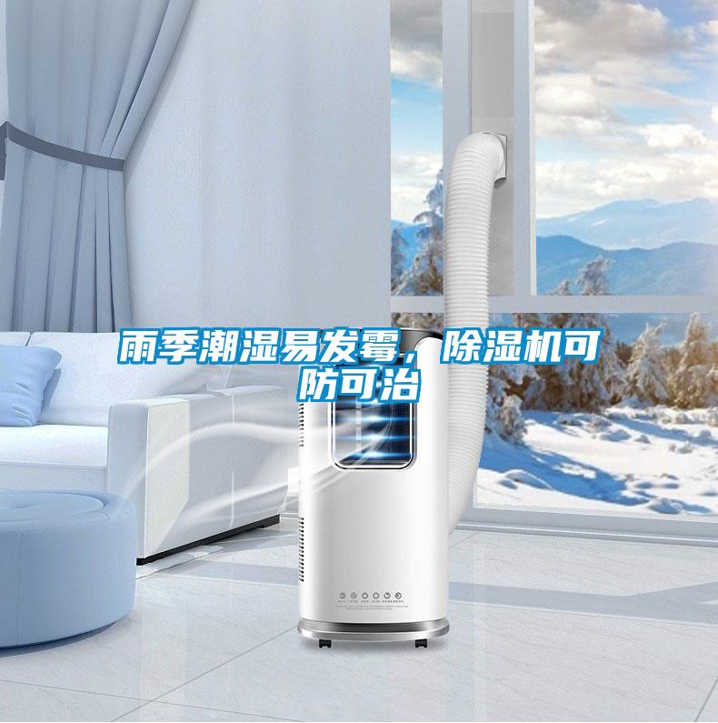 雨季潮濕易發(fā)霉，除濕機(jī)可防可治