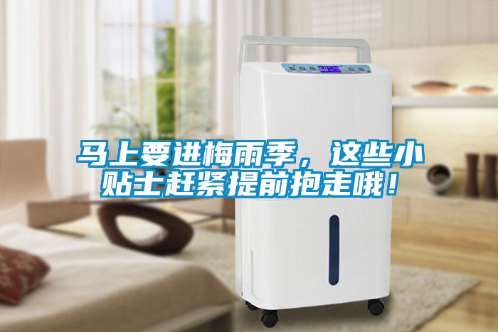 馬上要進梅雨季，這些小貼士趕緊提前抱走哦！