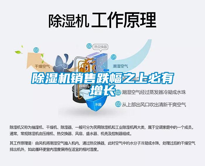除濕機(jī)銷售跌幅之上必有增長(zhǎng)