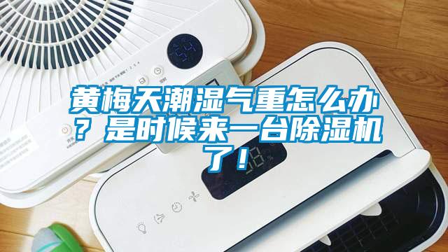 黃梅天潮濕氣重怎么辦？是時(shí)候來一臺除濕機(jī)了！