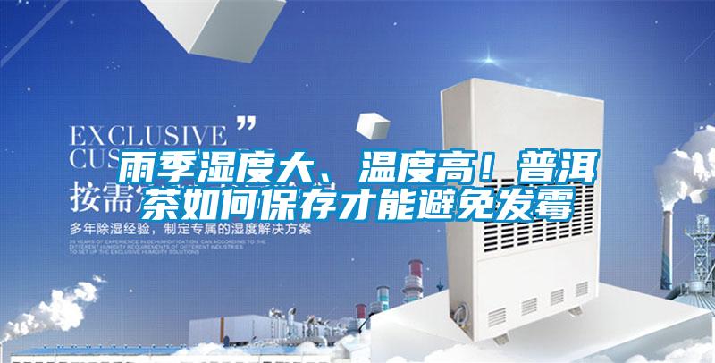 雨季濕度大、溫度高！普洱茶如何保存才能避免發霉