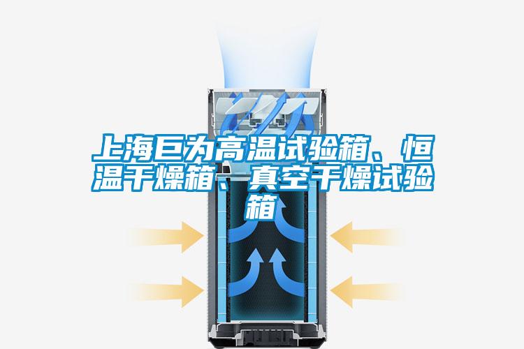 上海巨為高溫試驗(yàn)箱、恒溫干燥箱、真空干燥試驗(yàn)箱