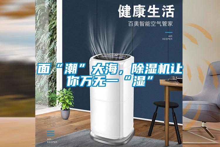 面“潮”大海，除濕機讓你萬無一“濕”