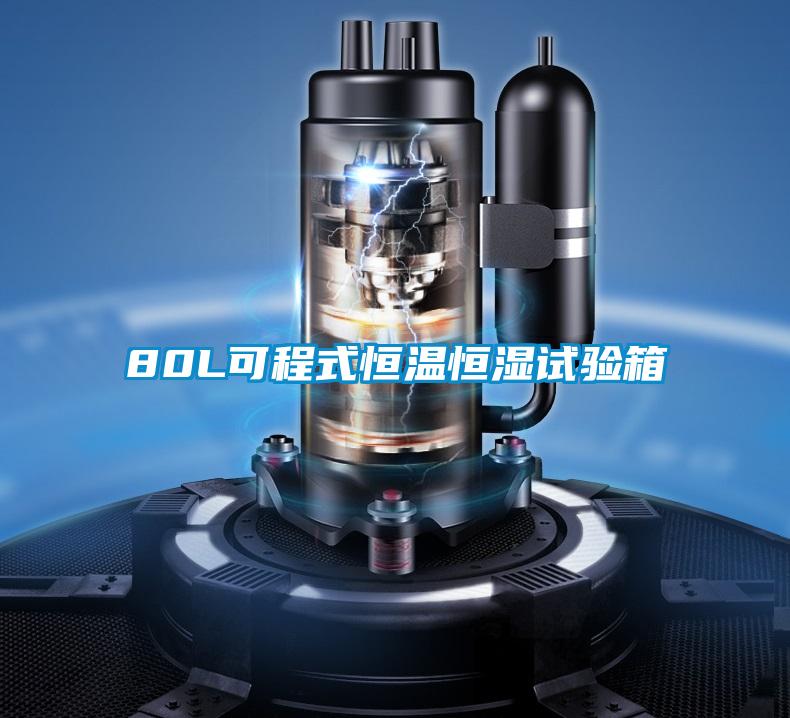 80L可程式恒溫恒濕試驗(yàn)箱