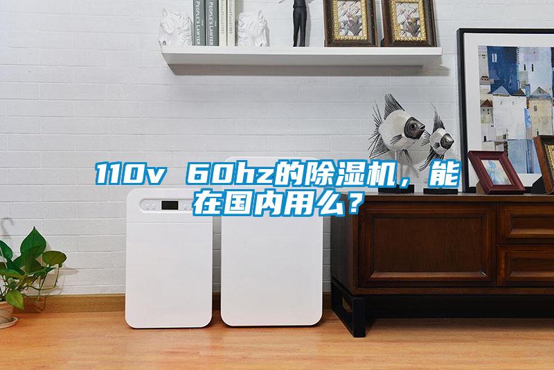 110v 60hz的除濕機，能在國內用么？