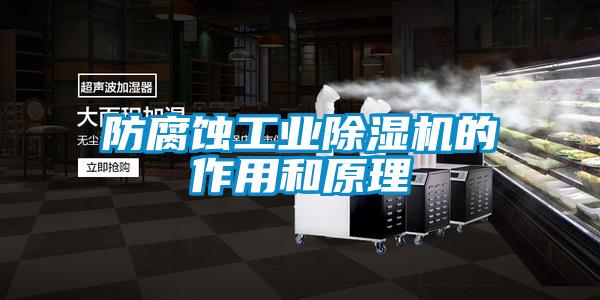 防腐蝕工業(yè)除濕機的作用和原理