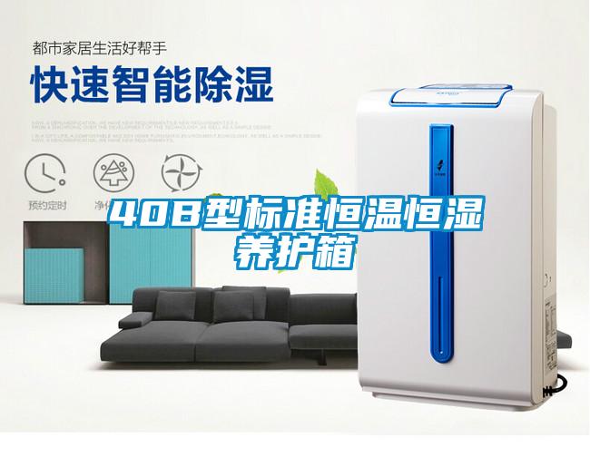 40B型標準恒溫恒濕養(yǎng)護箱