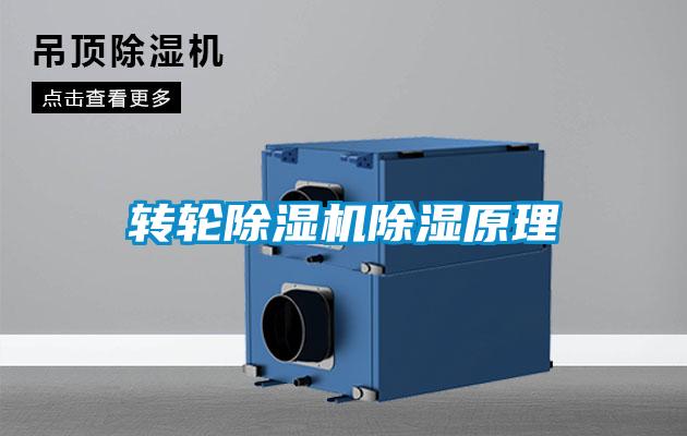 轉輪除濕機除濕原理