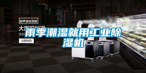 雨季潮濕就用工業(yè)除濕機(jī)