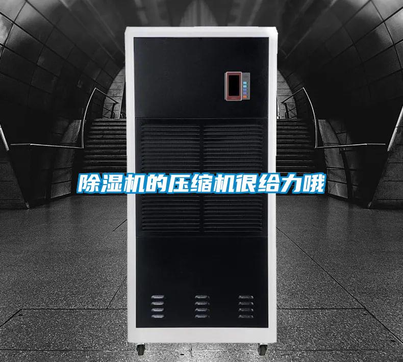 除濕機的壓縮機很給力哦