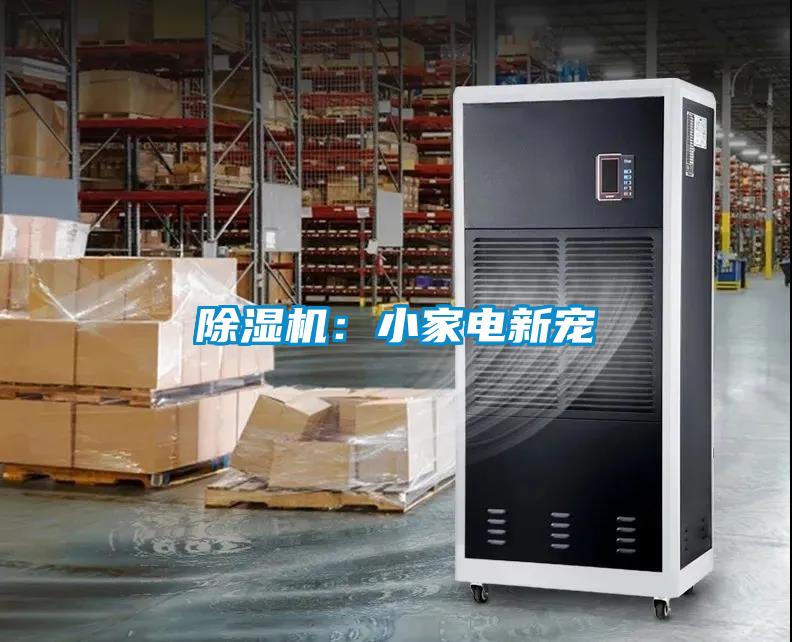 除濕機：小家電新寵