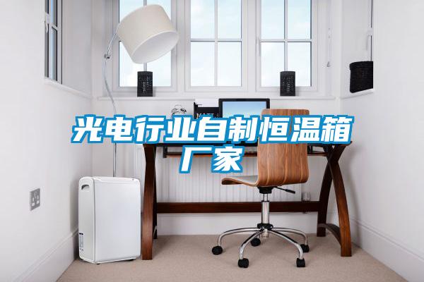 光電行業自制恒溫箱廠家