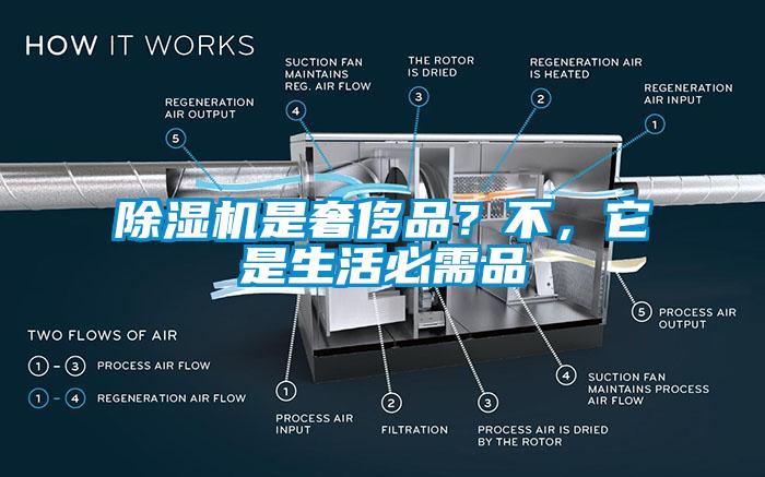 除濕機是奢侈品？不，它是生活必需品